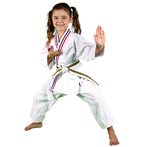 Karate PNG-55470